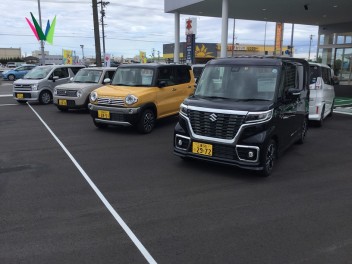 試乗車増量中！